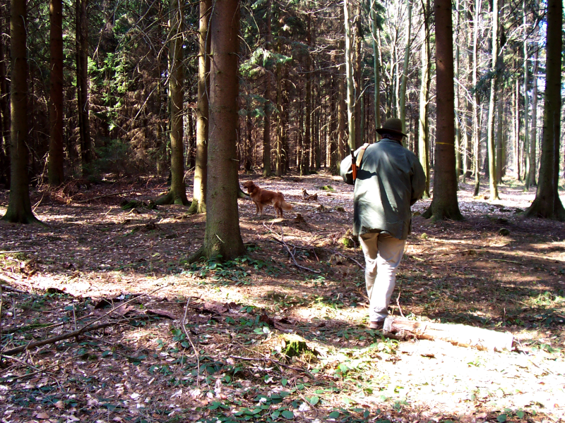 Jagdrecht - Jäger im Wald